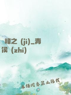 巔峰之紀(jì)