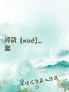 巔峰武學(xué)