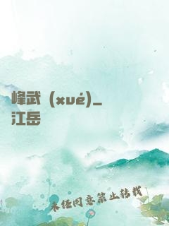 巔峰武學(xué)