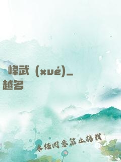 巔峰武學(xué)