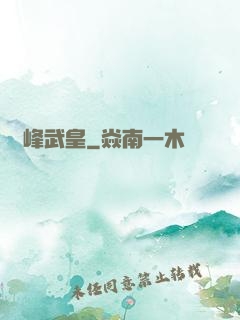 巔峰武皇