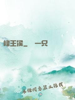 巔峰王侯