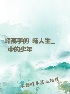 巔峰高手的曖昧人生