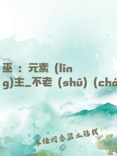 巫師：元素領(lǐng)主