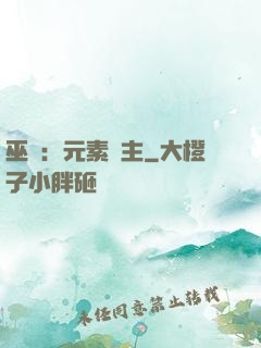 巫師：元素領主