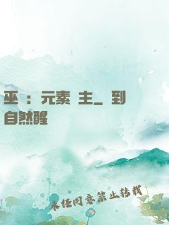 巫師：元素領主