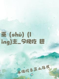 巫術(shù)領(lǐng)主