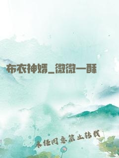布衣神婿