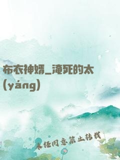 布衣神婿