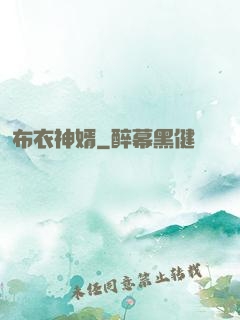 布衣神婿