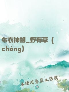 布衣神相