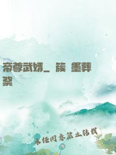 帝尊武婿