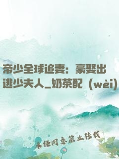 帝少全球追妻：豪娶出逃少夫人
