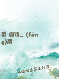 帝師霸婿