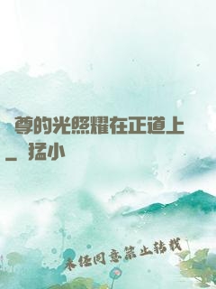 師尊的光照耀在正道上