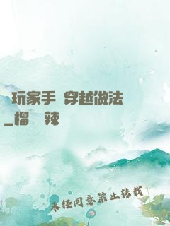 帶玩家手冊穿越做法師