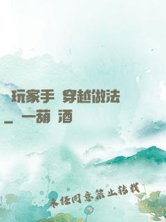 帶玩家手冊穿越做法師