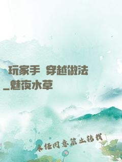 帶玩家手冊穿越做法師