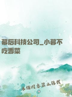 幕后科技公司