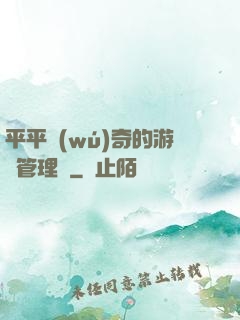 平平無(wú)奇的游戲管理員