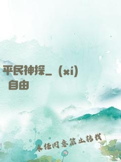 平民神探