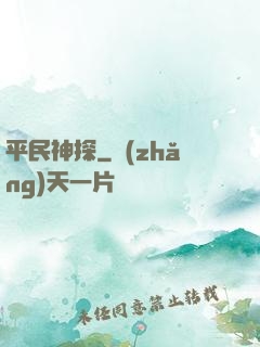 平民神探
