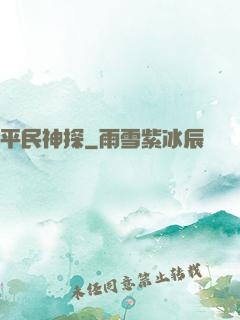 平民神探