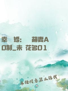 幸運閃婚：寶貝萌妻AO制