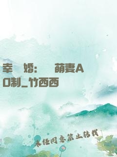幸運閃婚：寶貝萌妻AO制