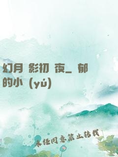 幻月殘影初霽夜