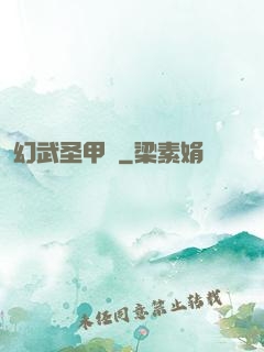 幻武圣甲錄