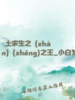 廢土求生之戰(zhàn)爭(zhēng)之王