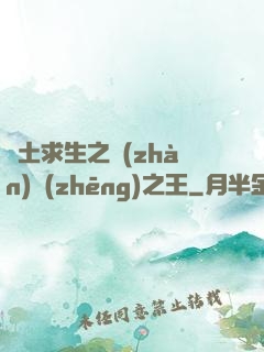 廢土求生之戰(zhàn)爭(zhēng)之王