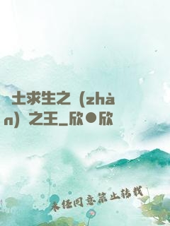 廢土求生之戰(zhàn)爭之王
