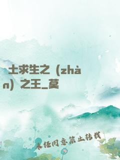 廢土求生之戰(zhàn)爭之王
