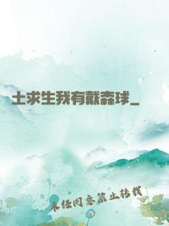 廢土求生我有戴森球