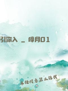 引你入懷