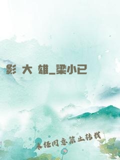 影綜大梟雄