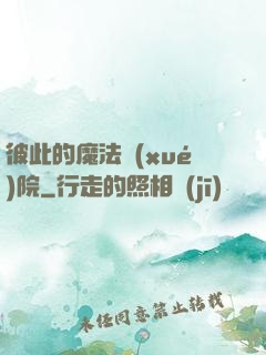彼此的魔法學(xué)院