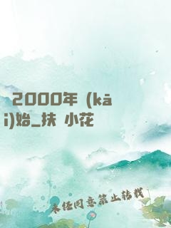 從2000年開(kāi)始
