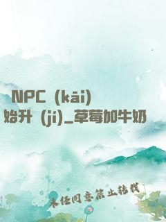 從NPC開(kāi)始升級(jí)