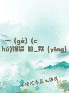 從一個(gè)儲(chǔ)物袋開始