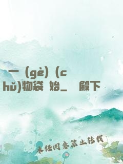 從一個(gè)儲(chǔ)物袋開始