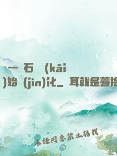 從一塊石頭開(kāi)始進(jìn)化