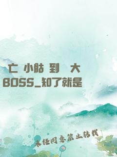 從亡靈小骷髏到終極大BOSS
