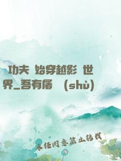從功夫開始穿越影視世界