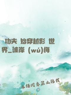 從功夫開始穿越影視世界