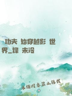 從功夫開始穿越影視世界