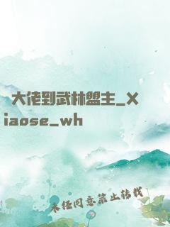 從大佬到武林盟主