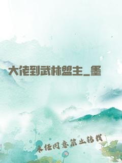 從大佬到武林盟主